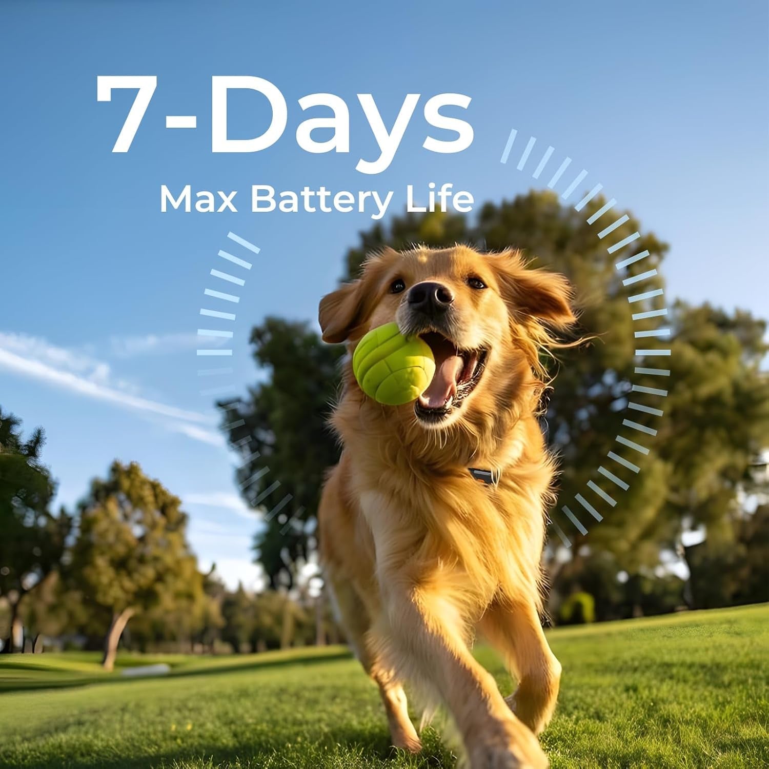 GPS Dog Tracker No Subscription Off Grid Large Dogs Waterproof 7 Day