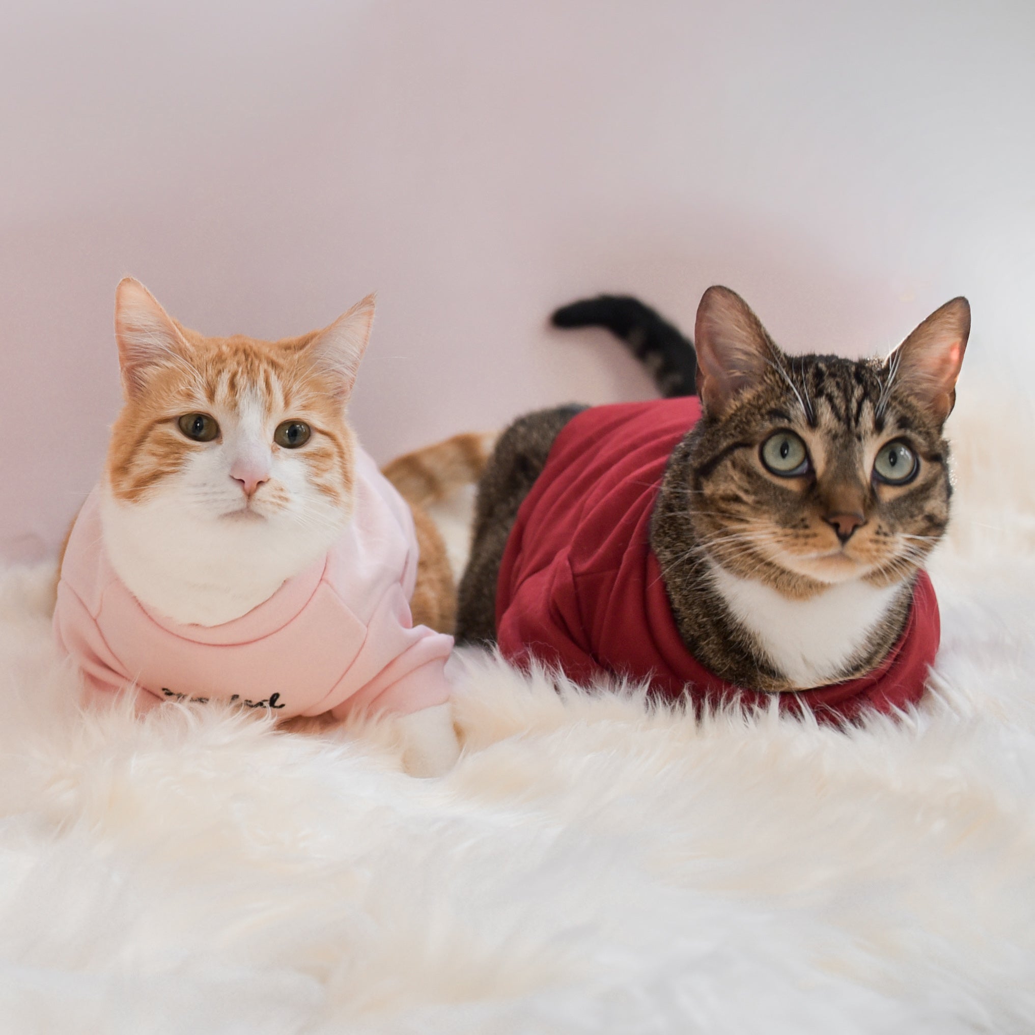 Fur Elise Mock Neck Shirt - Blush