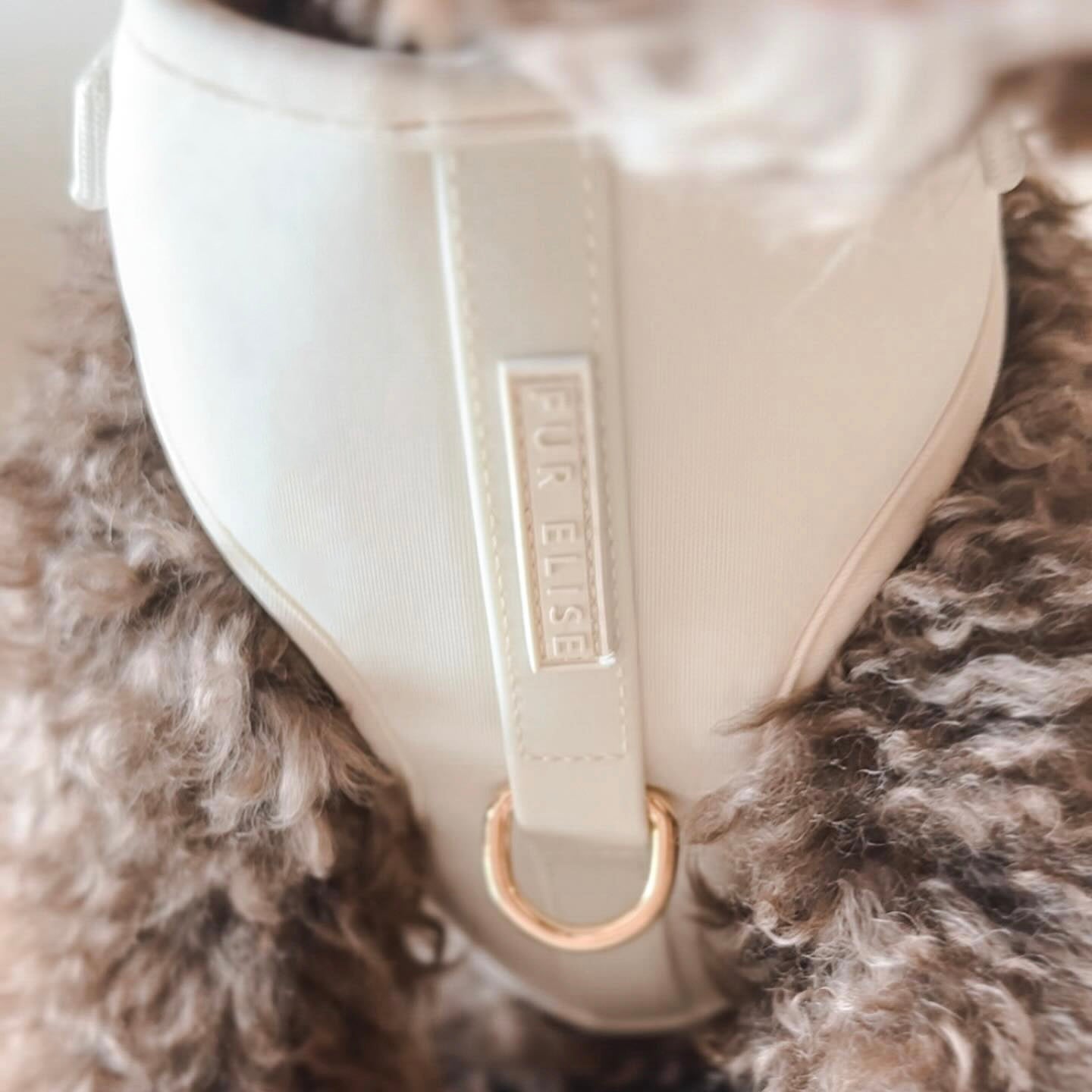 Fur Elise On-the-Go Walk Set - Bone