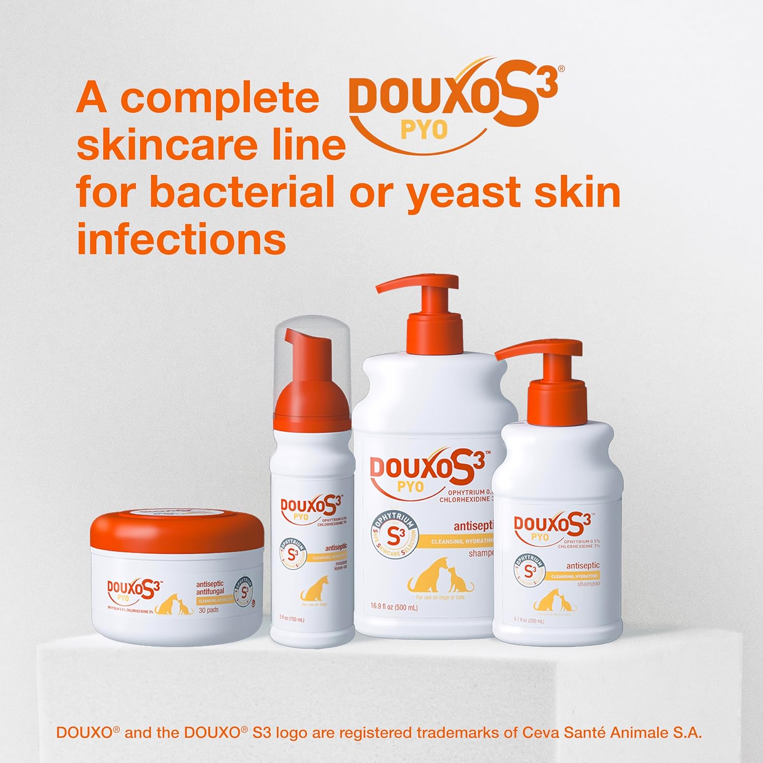 Douxo S3 PYO Mousse Dogs No-Rinse Skin Coat Care 5.1 oz