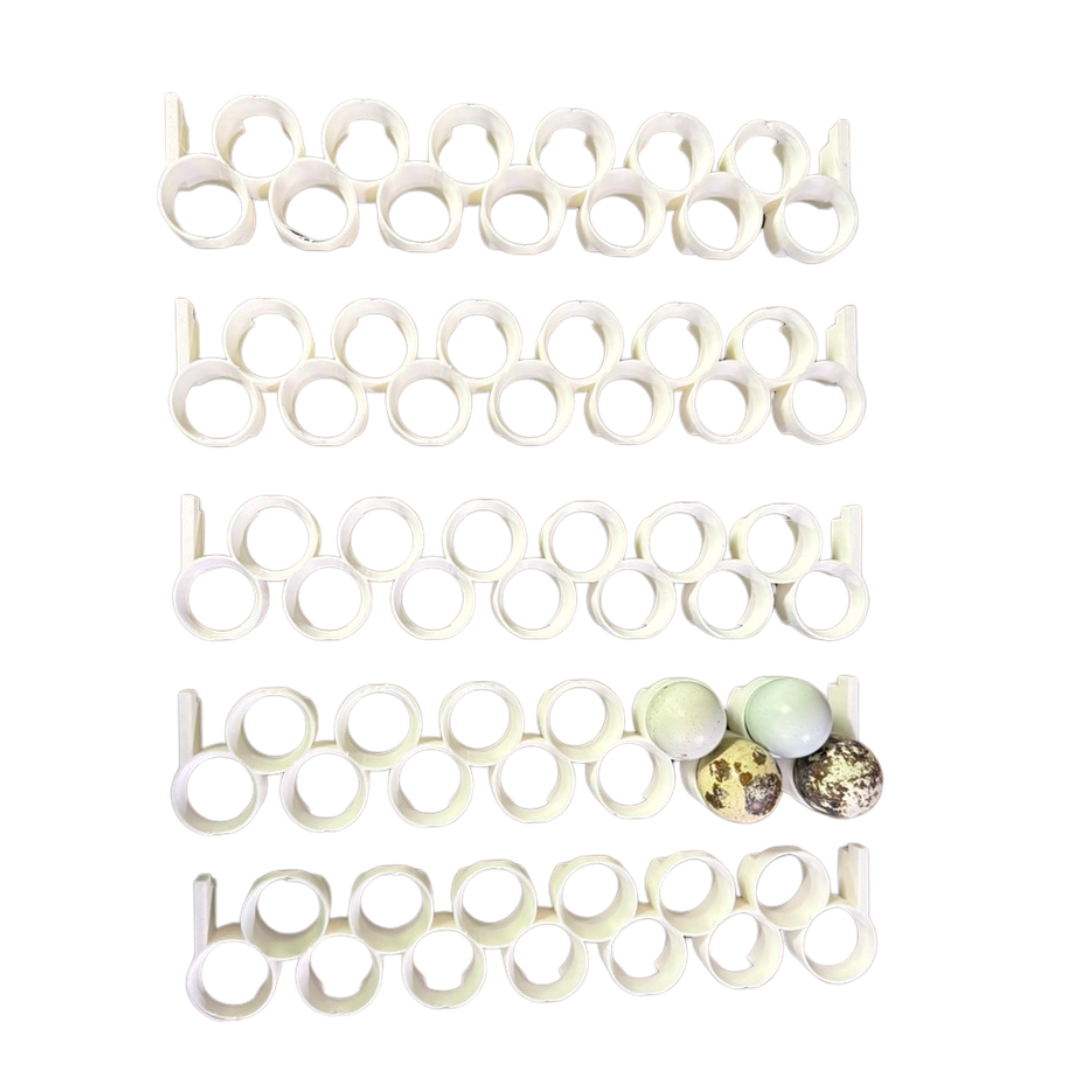 Jumbo Quail Egg Rails for Cimuka / Hatching Time CT120 – Full Set (24 Rails)