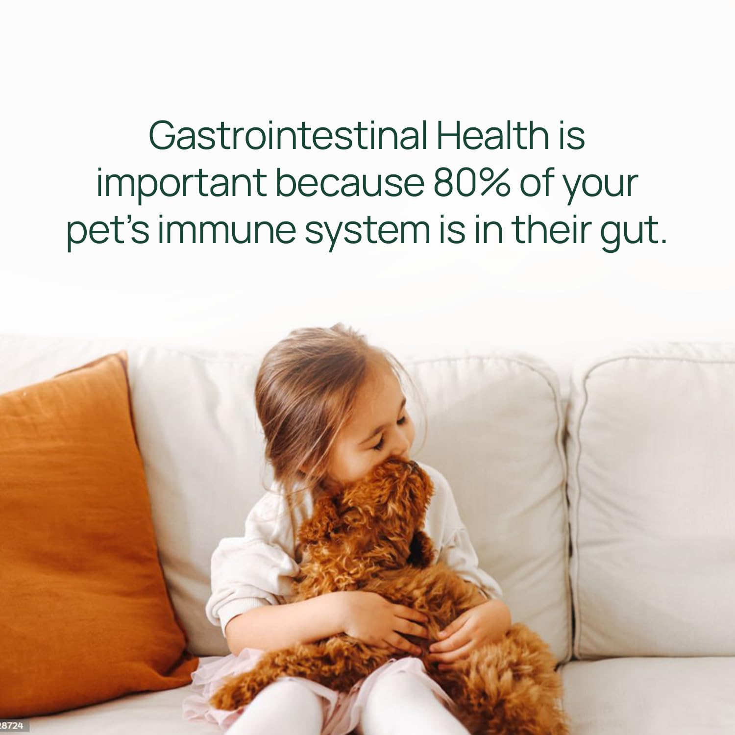 pawTree Gastro Pro Plus® for Dogs and Cats - Probiotics & Digestive Enzymes, 30 ct, Red - Ideal for Sensitive Stomachs & Digestive Issues