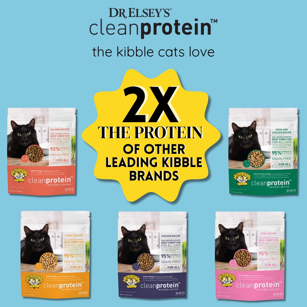 Dr. ElseyS Cleanprotein Salmon Formula Dry Cat Food, 2 Pound (Pack of 1)