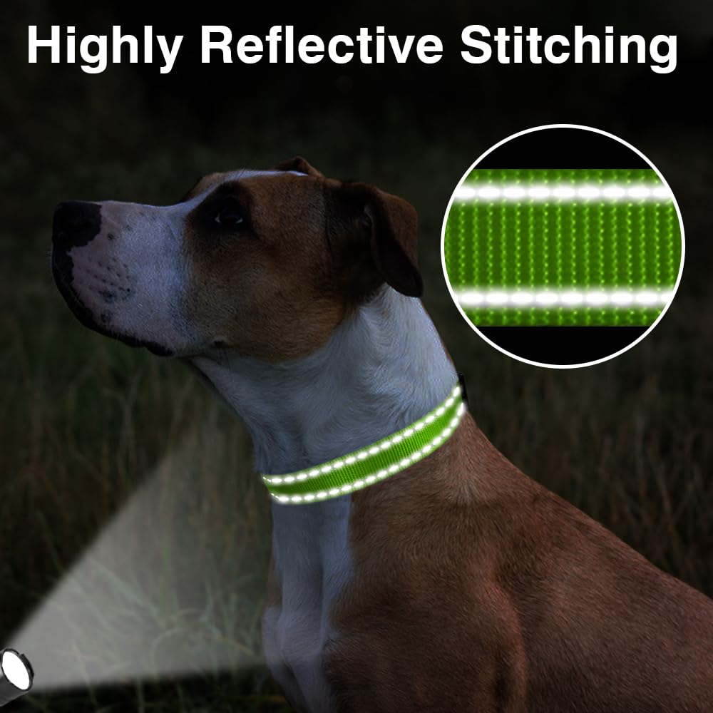 Taglory Reflective Adjustable Dog Collars For Puppy Small Medium Large Dogs, Thin Nylon Webbing And Quick Release Plastic Buckle(Green Medium)