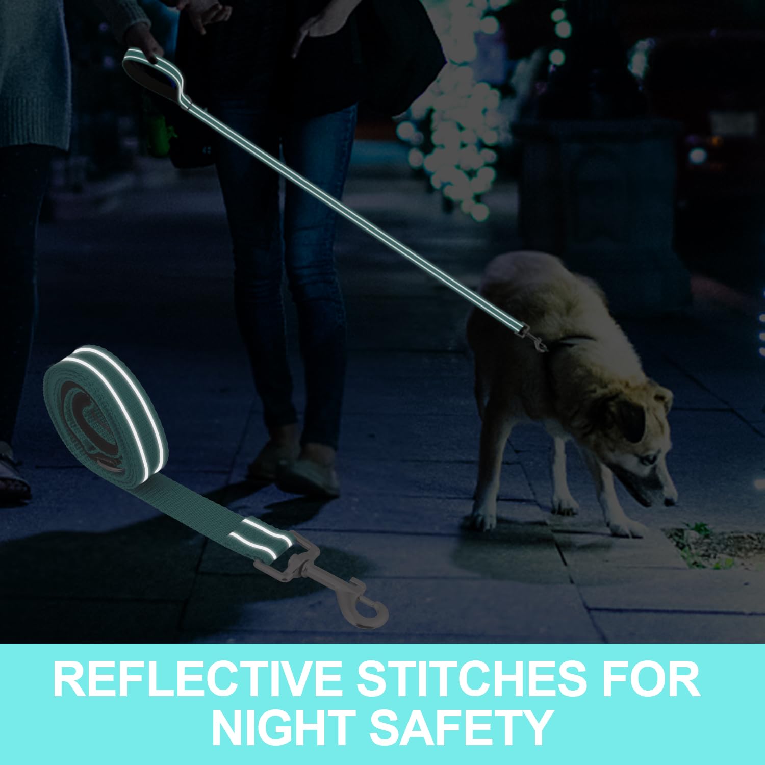 Usunyvora Reflective Nylon Dog Leash For Walking,Strong Dog Leash With Padded Handle For Small And Medium Dogs,4 Ft,Turquoise