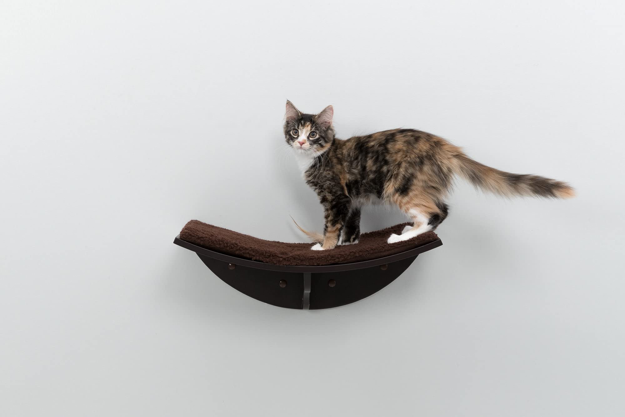 Trixie Lea Wall Mount Perch Xl, Cat Shelf, Cat Bed, Cat Lounger, Cat Furniture, Espresso Brown, 11' X 19', (44580)