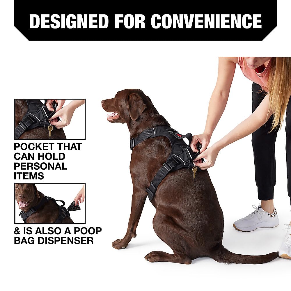 Kong Ultra Durable Waste Bag Harness (Medium, Black)