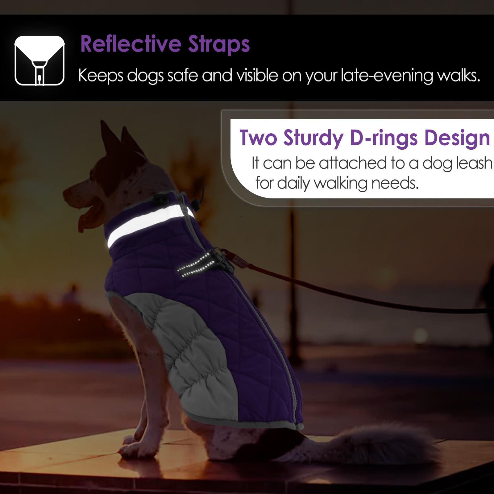 AOFITEE Winter Dog Coat, Warm Fleece Jacket for Cold Weather, Reflective, X-Small, Purple, Model 1207-AF-12180-Purple-XS
