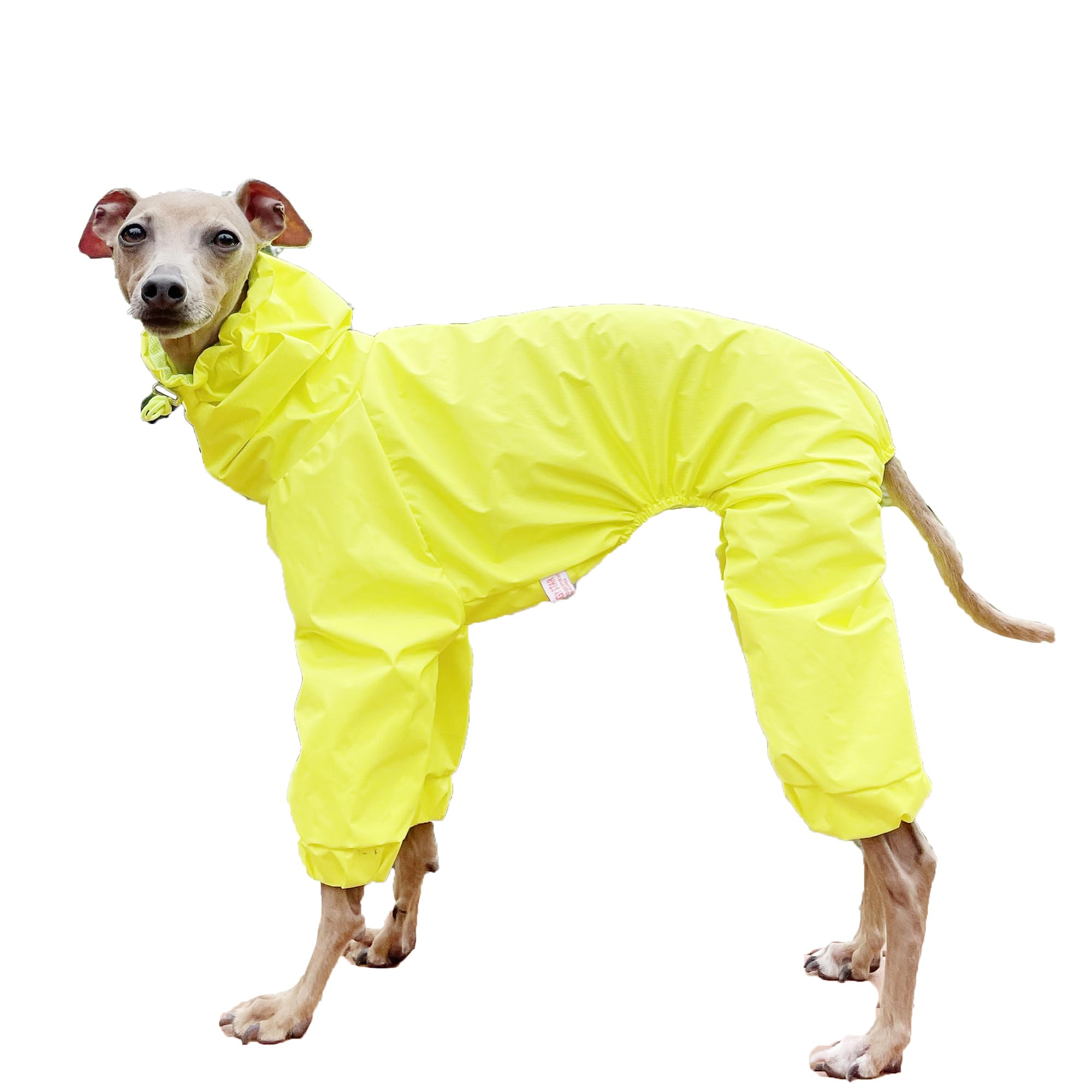 D DOGGY STAR Italian Greyhound Raincoat Waterproof Jacket Windbreaker Clothes Whippet for Dog (S,Raincoat Yellow)
