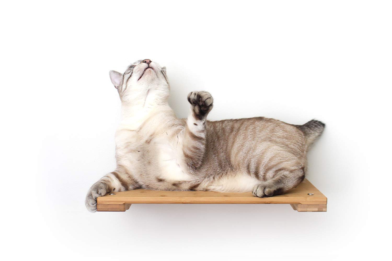 Catastrophic Creations Cat Perch, Mounting Wall Cat Shelves, Strong & Sturdy Onyx Bamboo Wood Cat Tree Floating Shelf, Lounger C