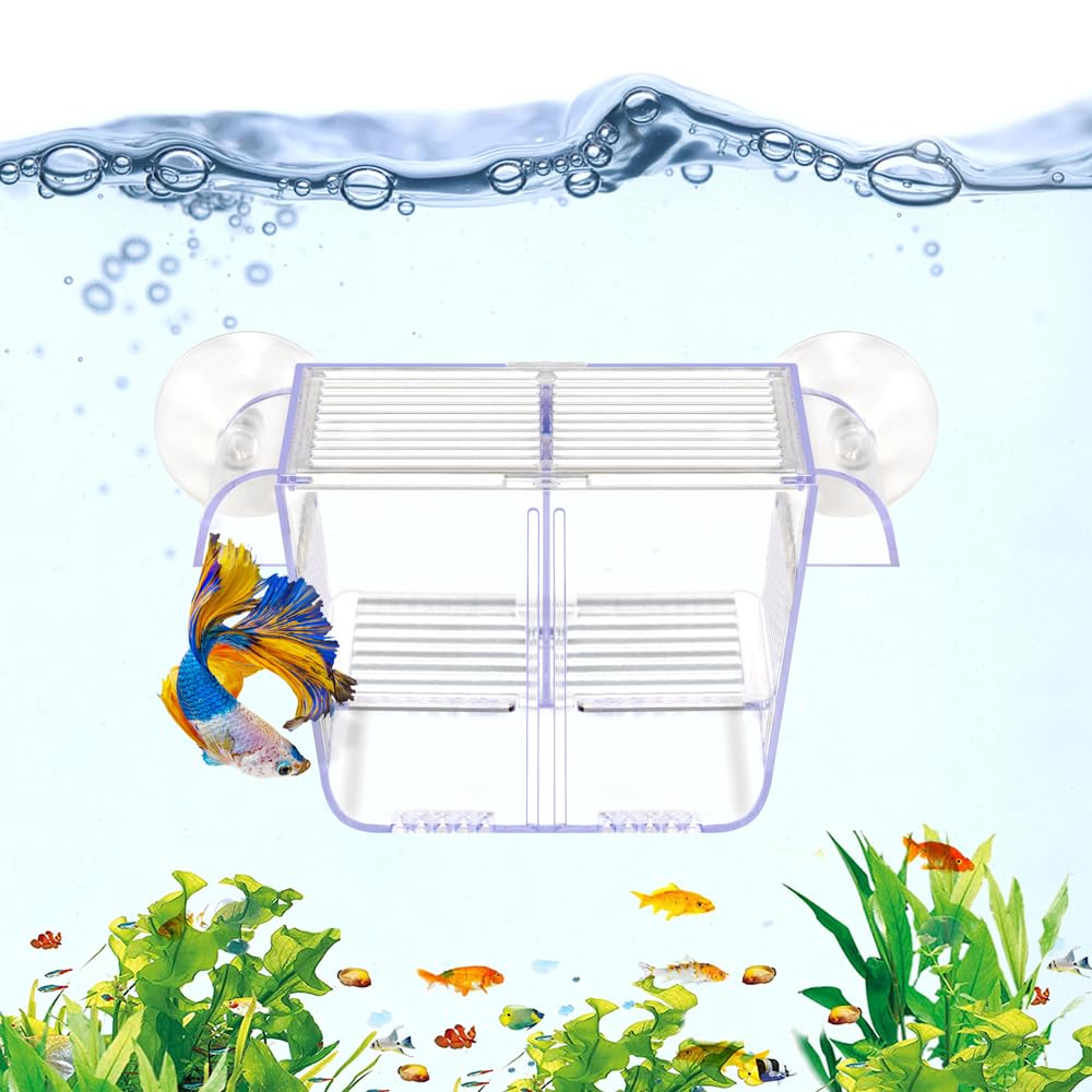DaToo Fish Breeding Box Aquarium Holding Tank Transparent Fish Isolation Box Acclimation Hatchery Incubator Breeder Box for Baby