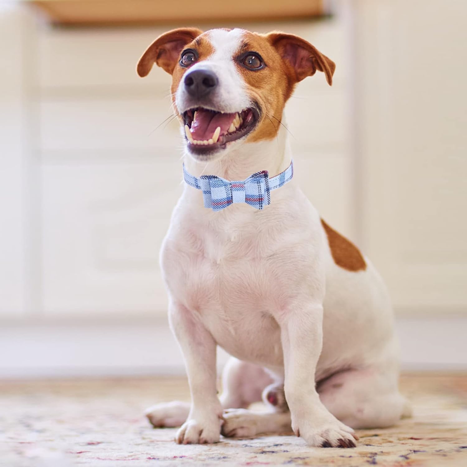 Bow Tie Dog Collar And Leash Set For Small Dogs - Puppy Leash Collars Classic Beige Plaid - Adjustable Size With Golden Bell - P