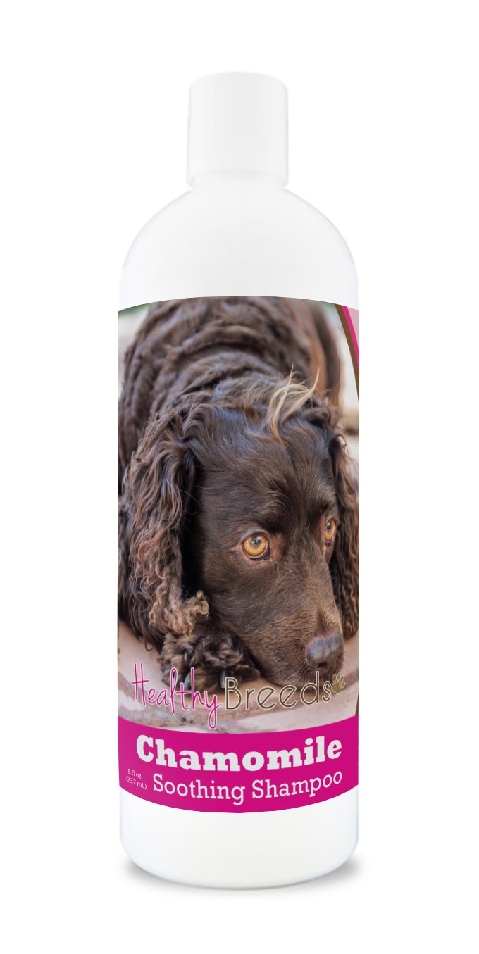 Healthy Breeds American Water Spaniel Chamomile Soothing Dog Shampoo 8 oz
