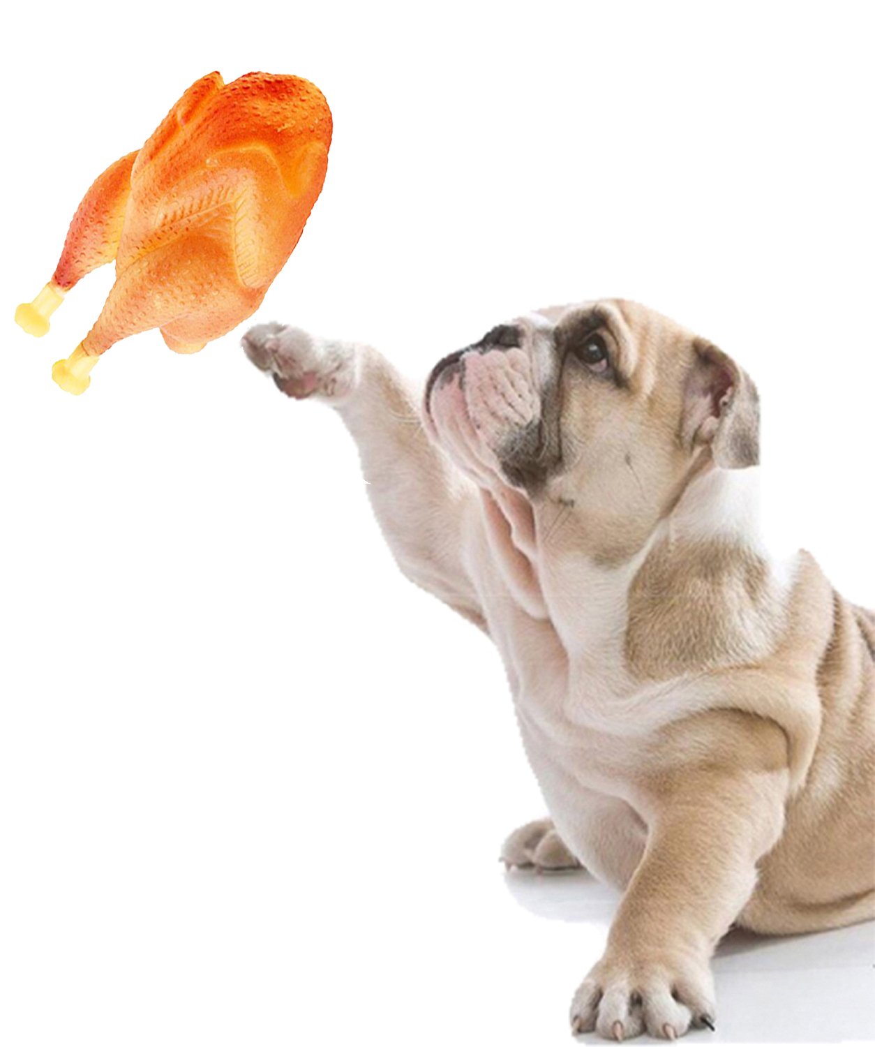 Sage Square Natural Rubber Squeaky Cum Chew Chicken Shape Toy For Dog/Puppy/Cat/Kitten