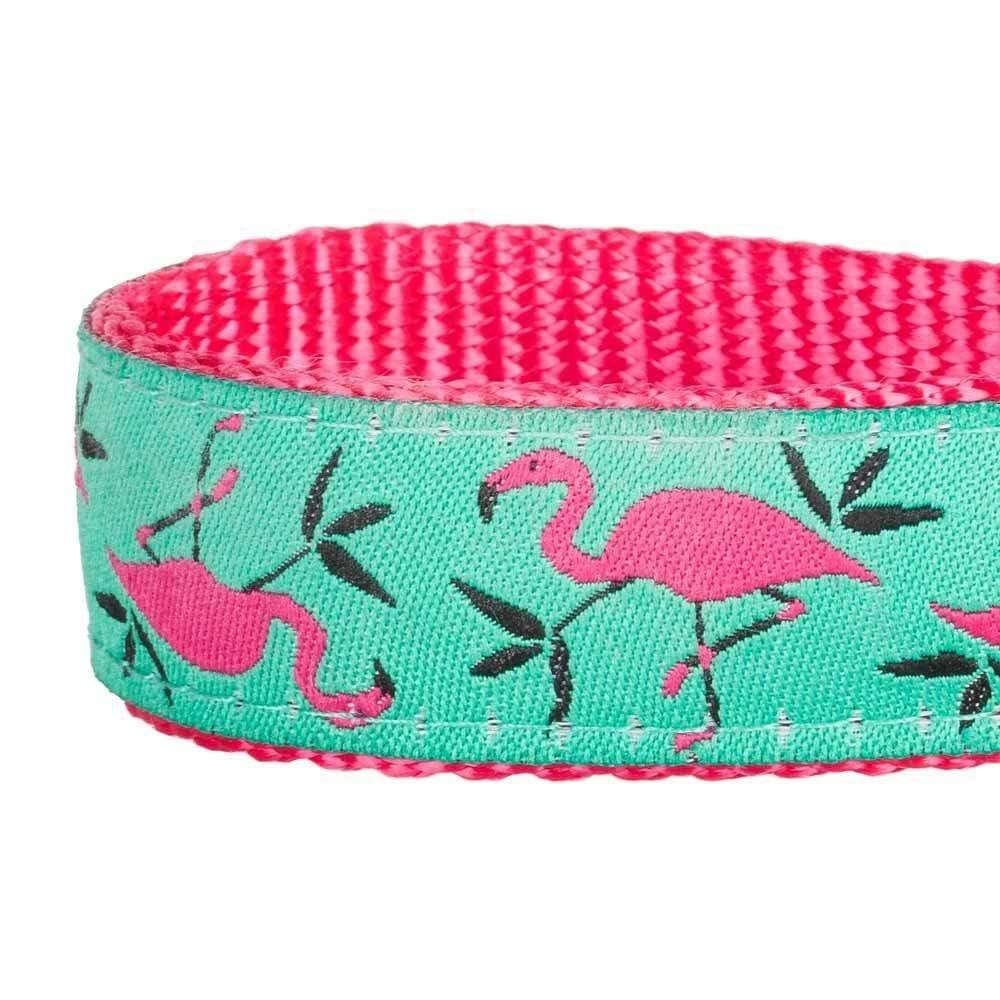 Blueberry Pet Essentials 2 Patterns Durable Pink Webbing Ladybug Designer Dog Leash 5 Ft X 5/8', Small, Basic Nylon Leashes For Dogs