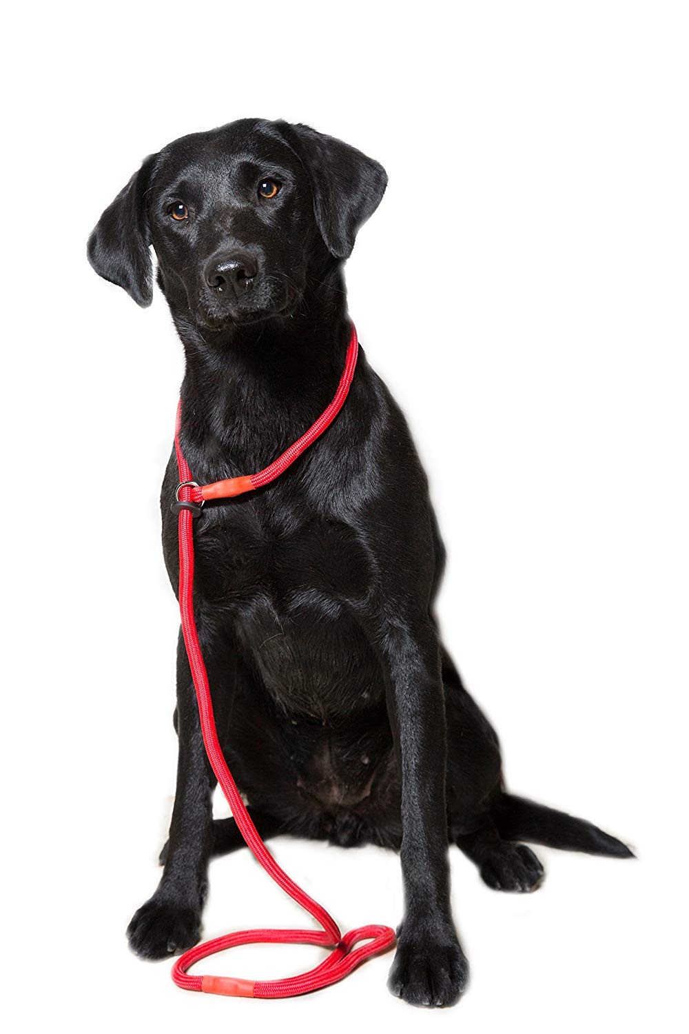 Dog & Field Deluxe Gundog Slip Leash - Red. Super Soft Braided Nylon Slip Leash For Dogs With Rubber Stopper, Easy To Slip On, N