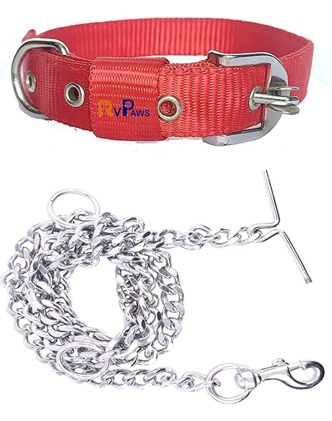 Rvpaws Dog Belt Combo Of 1 Inch Nylon Collar With Heavy Dog Chain 63 Inch Lengthy Dog Collar Chain (Large Size)  Red