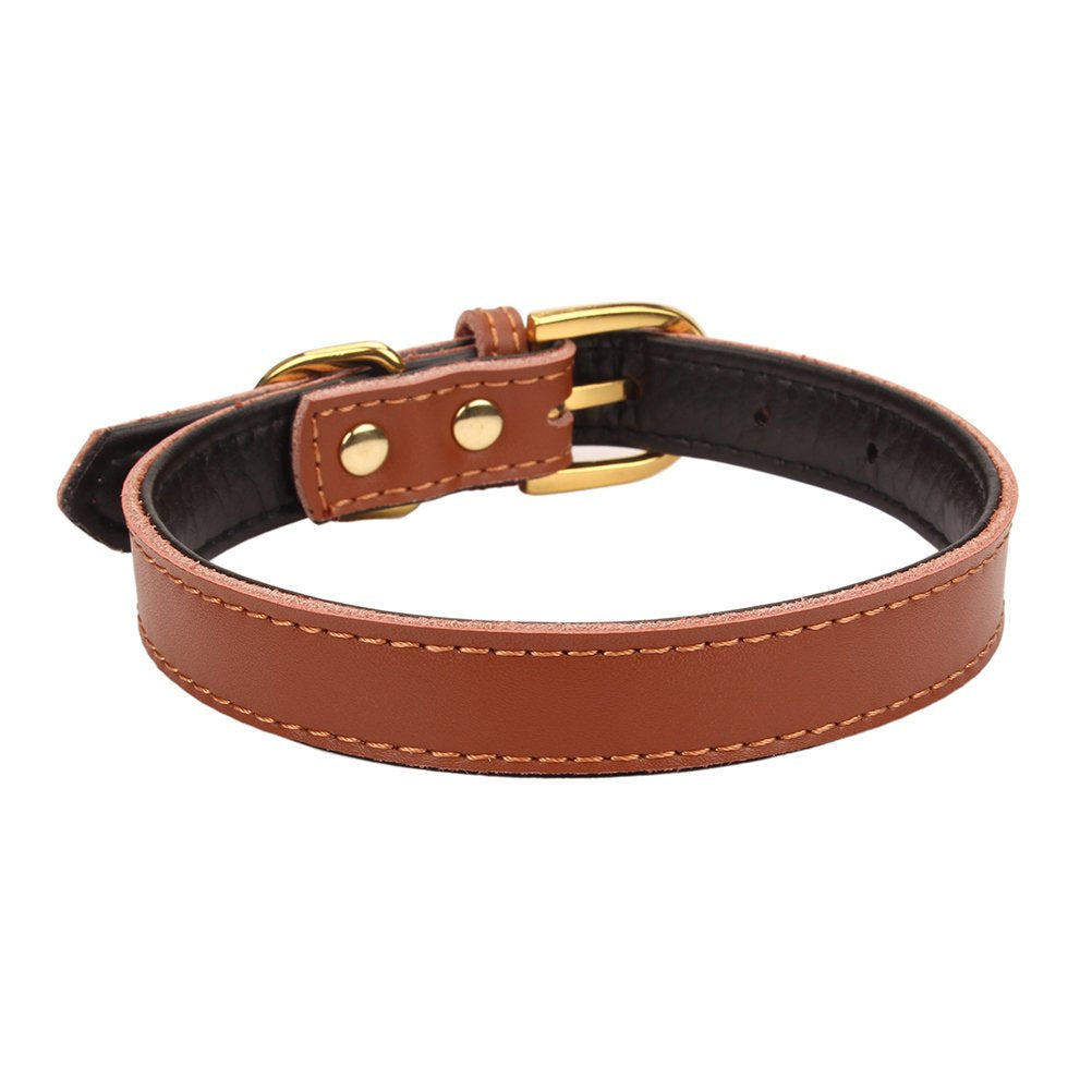 Aolove Basic Classic Padded Leather Pet Collars For Cats Puppy Small Medium Dogs (Brown, Medium)