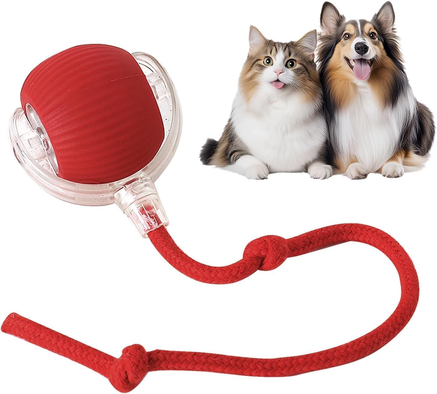 Insectra Interactive Cat Ball Toy With Rope Tail, Smart Rolling Ball For Indoor Cats And Dogs (Multicolor)