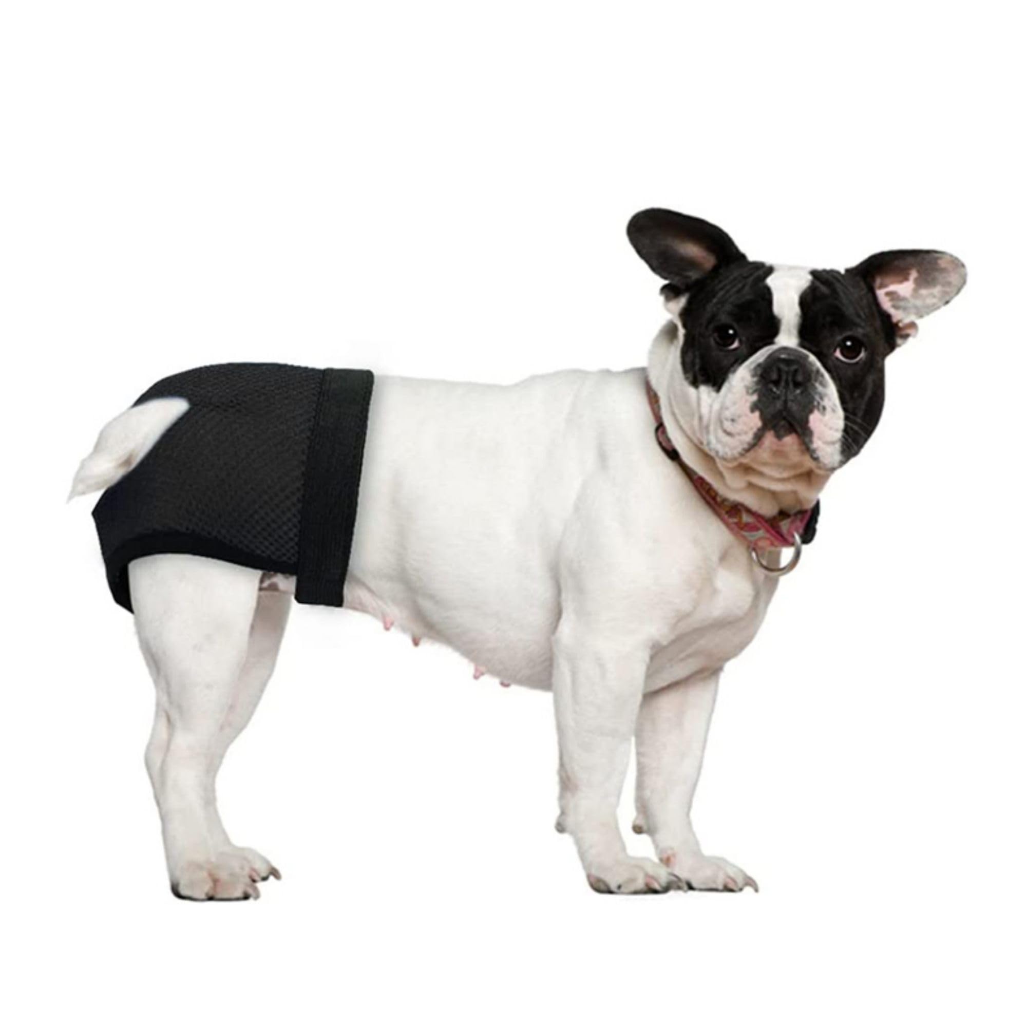 Ddfs Female Dog Heat Cycle With 3 Replace Diaper,Dog Pants In Heat Reusable Diapers Adjustable Protective Pants For Dogs Black L