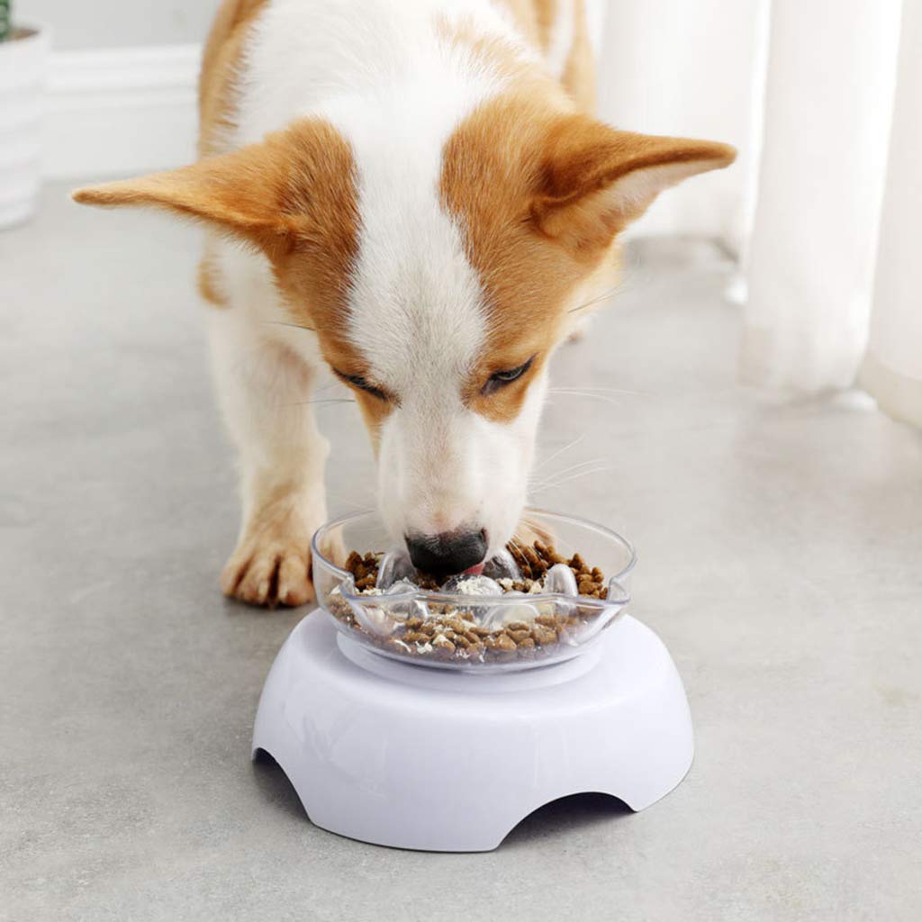 Petlicious & More Cat Food Water Bowl Dog Raised 15 Degree Tilt Neck Guard Stand Slow Feeder