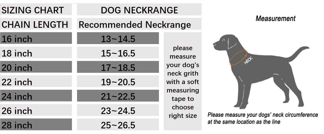 Sgoda Chain Dog Training Choke Collar, 24 In, 3.5 Mm