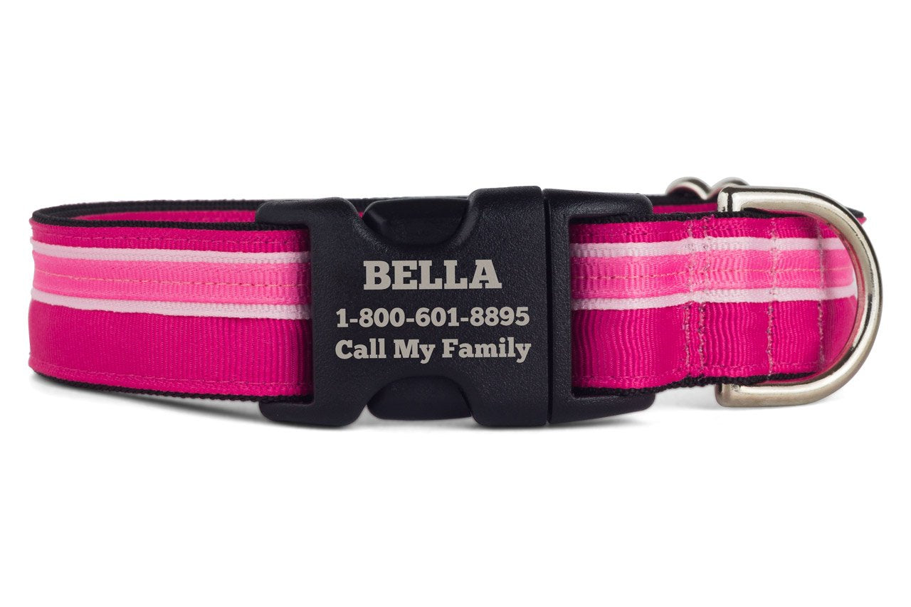 If It Barks Personalized 1 Striped Dog Collar - Engraved Name - Custom Size, Bubble Gum