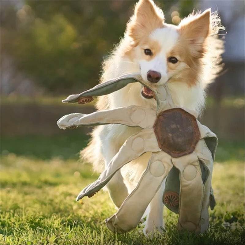 livhings Frank The Dogtopus Dog Toy, Interactive Puzzle, Treat Dispensing Brain Toy with Barriers, Spikes & Twisty Traps, Small,