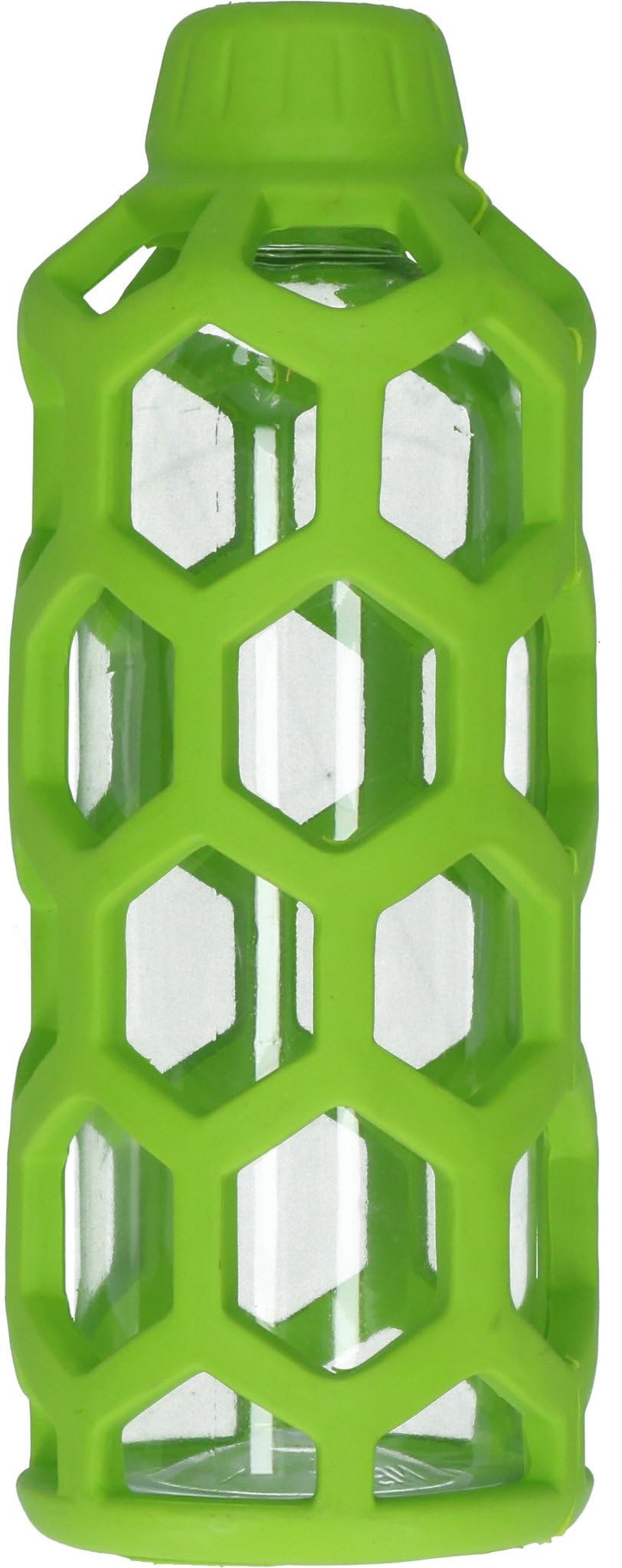 JW Pet Hol-ee Bottle Dog Chew Puzzle Toy, Medium