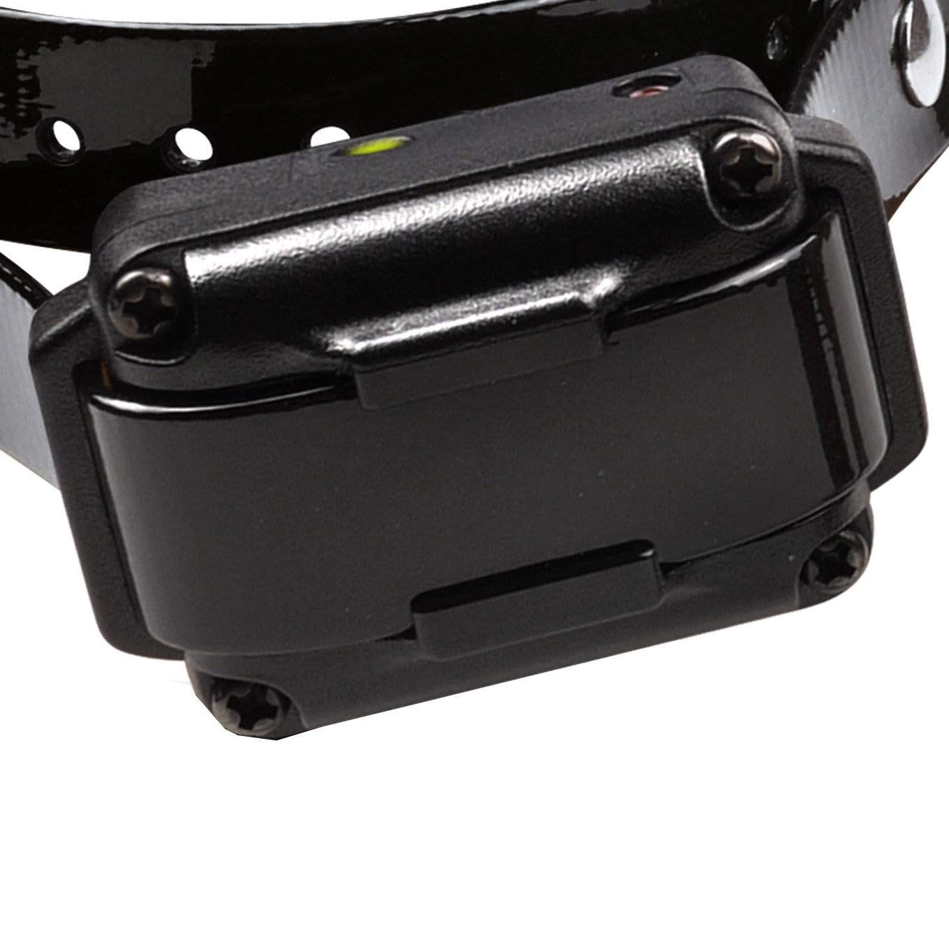 Dogtra Iq Plus Rechargeable Waterproof 400-Yard Remote Dog Training E-Collar