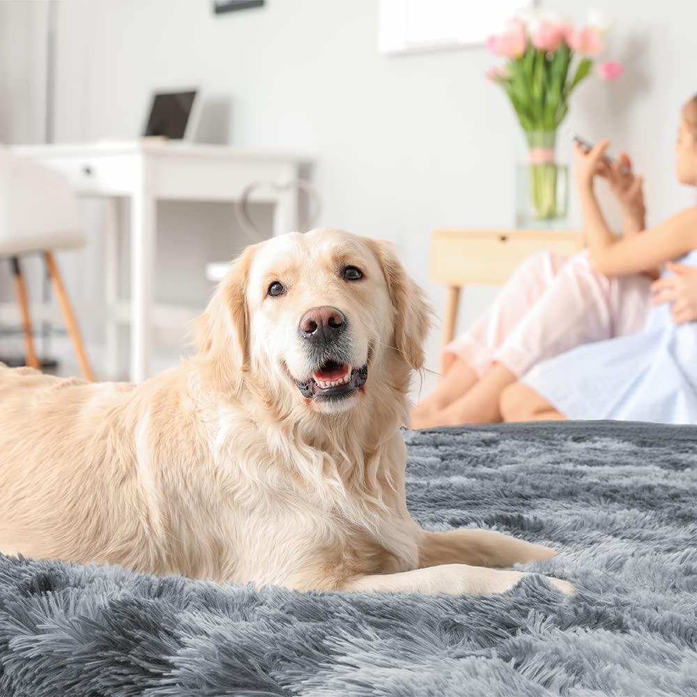 Petami Fluffy Waterproof Dog Blanket | Faux Fur Pet Fleece Shag Throw For Dogs And Cats | Fuzzy Furry Soft Plush Sherpa Throw Furniture Protector Sofa Couch Bed (Tie-Dye Gray, 29X40)