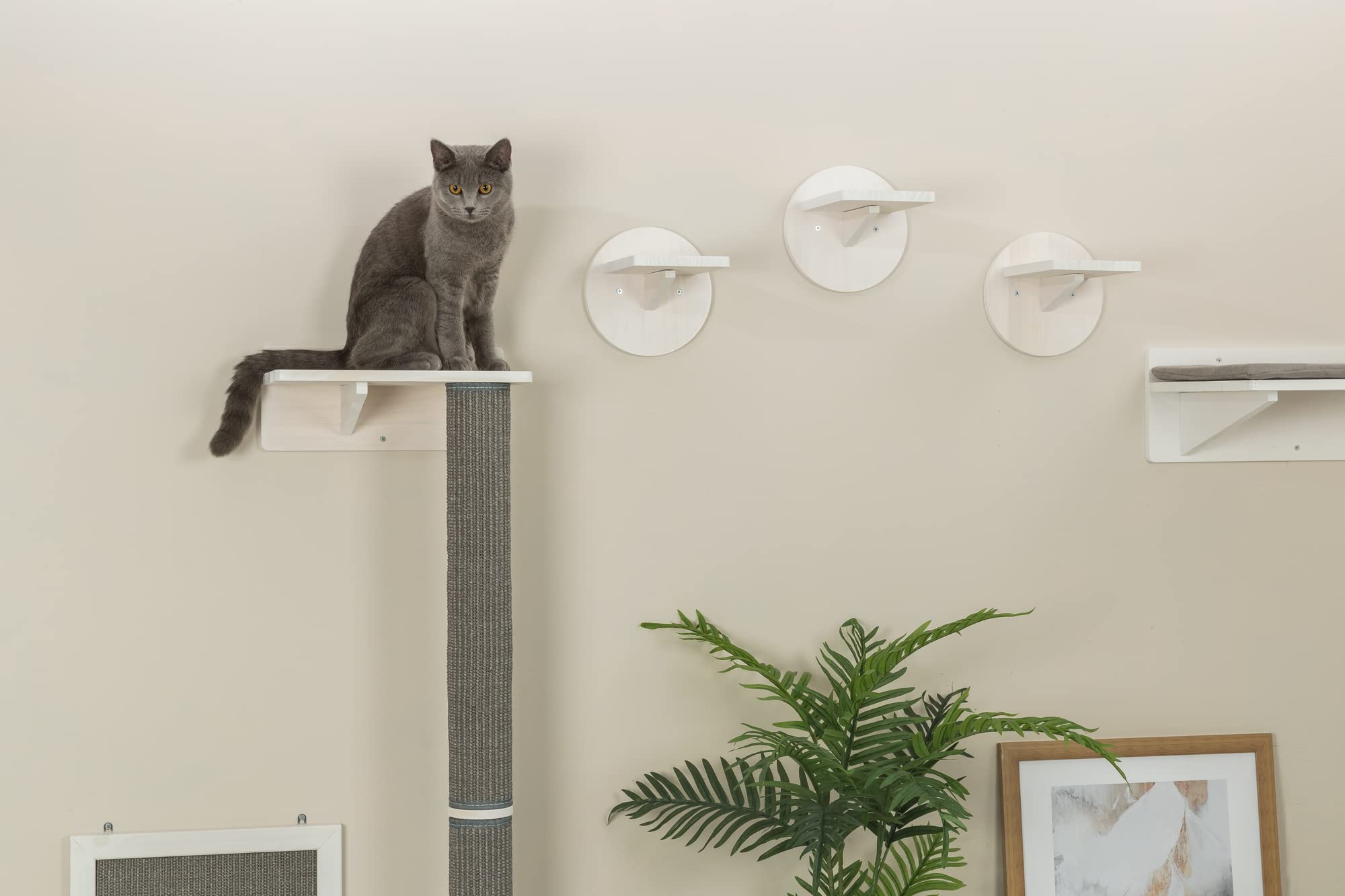 Trixie Wall Set 1, Indoor Wall Mounted Cat Scratching Post For Elevated Fun, Climb To Perch, Jumping Platform, Gray