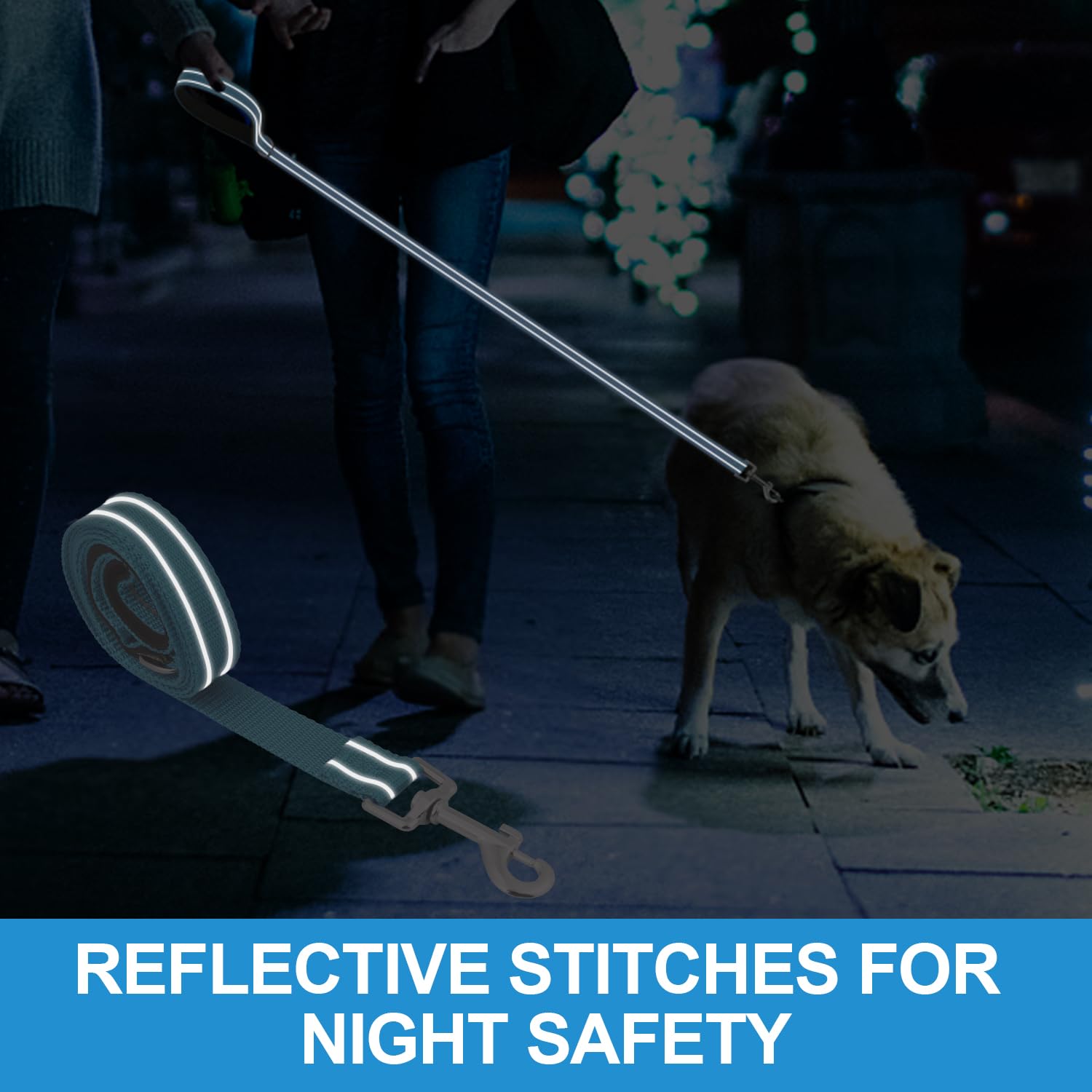 Usunyvora Reflective Nylon Dog Leash For Walking,Strong Dog Leash With Padded Handle For Medium And Large Dogs,5 Ft,Sky Blue
