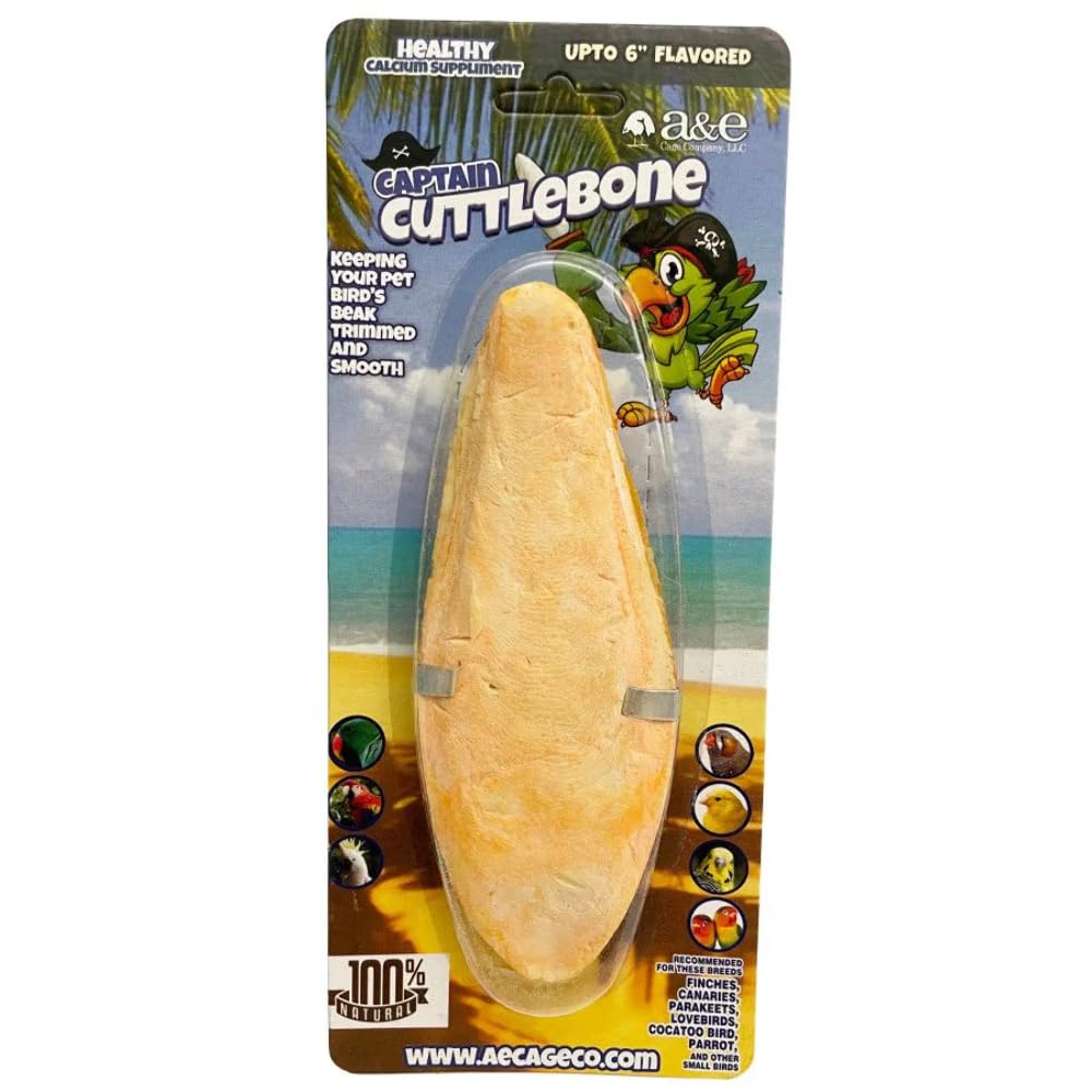 A&E Cage AE9006 6 in. Flavored Cuttlebone
