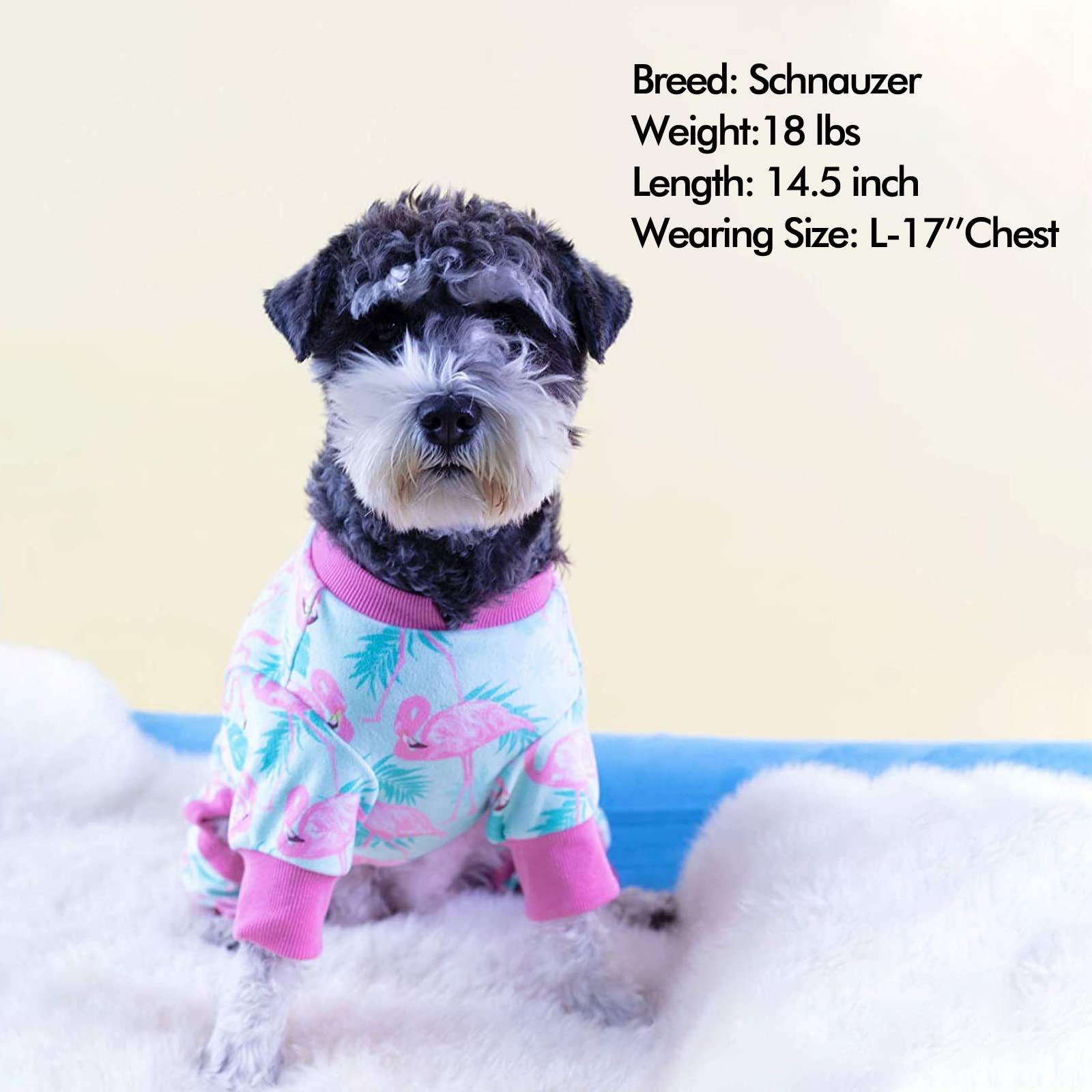 Kyeese Dog Pajamas Flamingo Dog Surgery Recovery Suit Velvet Dog Clothes Dog Coat Dog Body Suits After Surgery Dog Onesie Dog Co