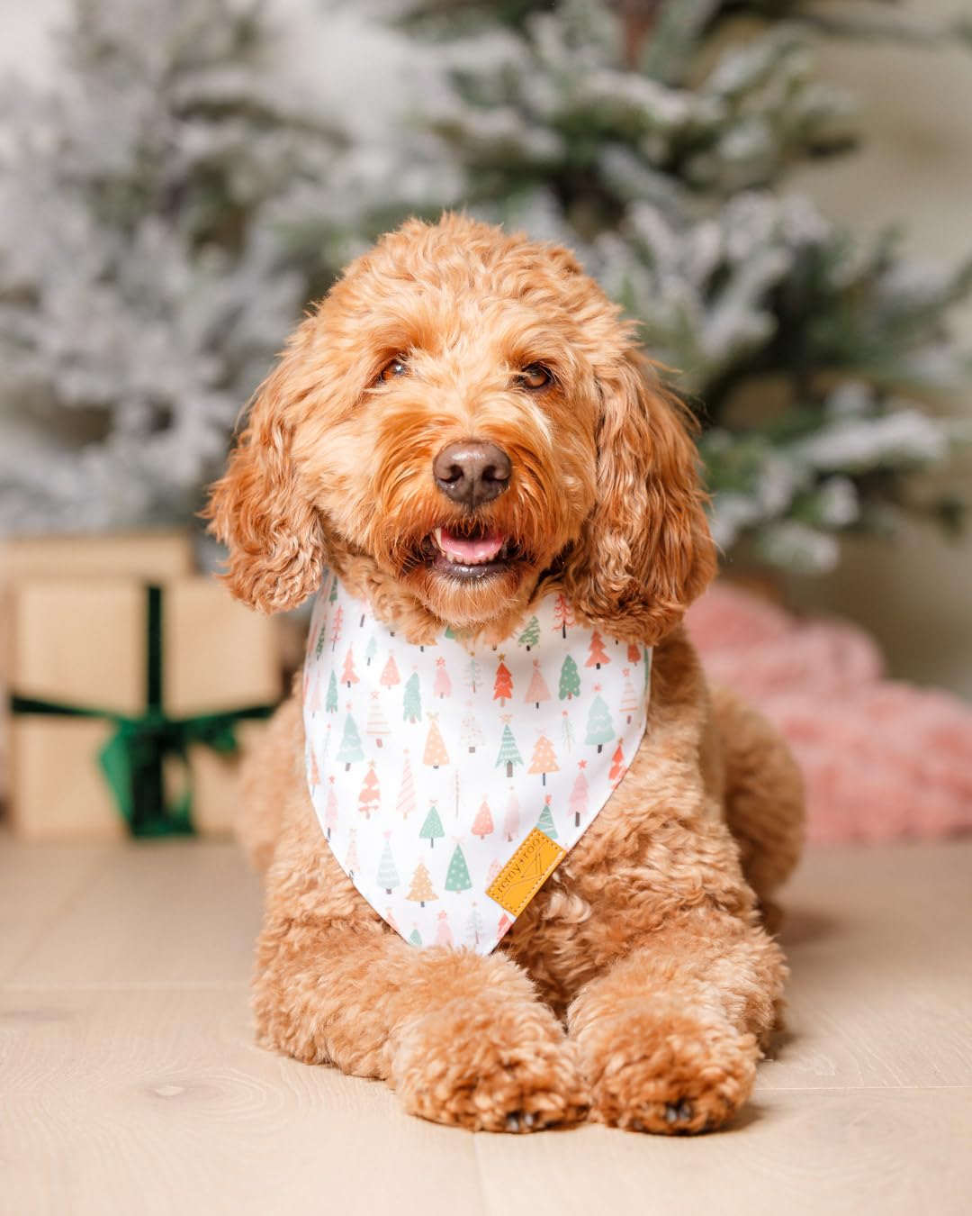 Remy+Roo Dog Bandanas - 2 Pack | Wonderland Christmas Set | Premium Durable Fabric | Patented Shape Bandanas for Dogs | Adjustab