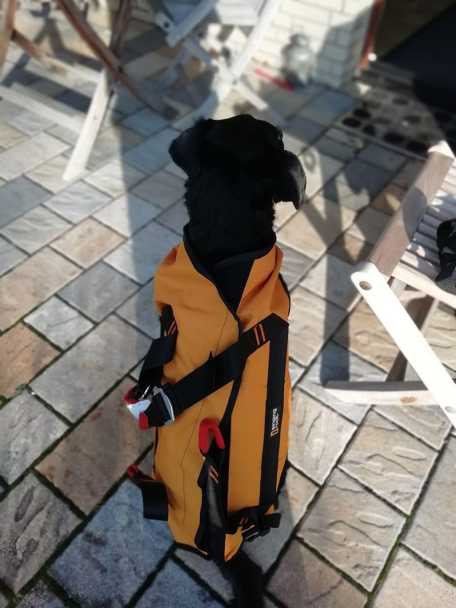 Singing Rock Laika Dog Harness - Nylon, Unique Size, Orange/Black, Model W0005YB09