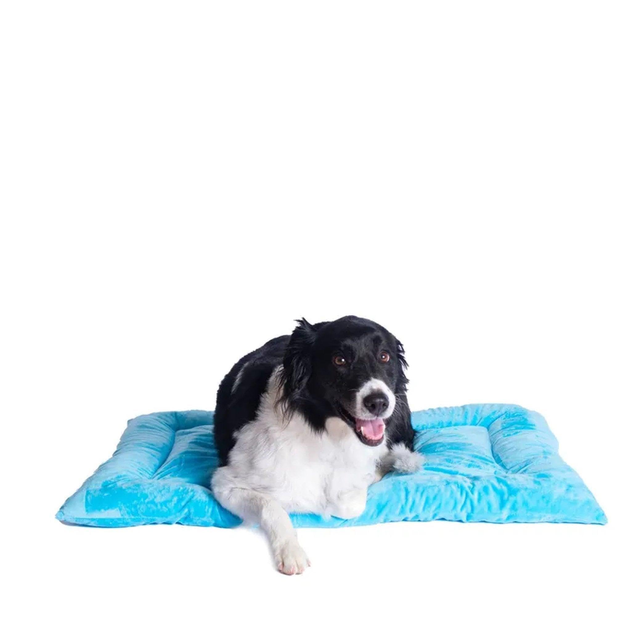 Armarkat Pet Bed Mat 35-Inch By 22-Inch By 3-Inch M01-Large, Pink