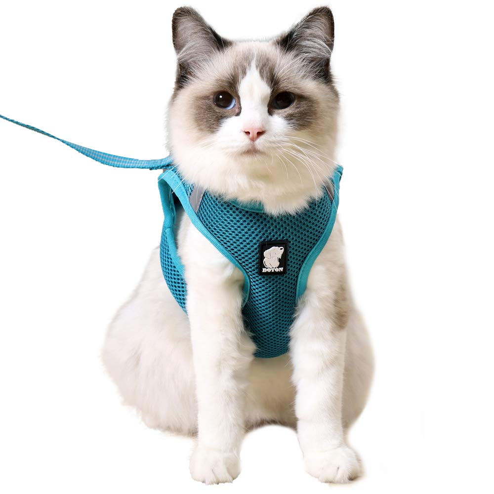 Heywean Cat Harness And Leash - Ultra Light Escape Proof Kitten Collar Cat Walking Jacket With Running Cushioning Soft And Comfortable Suitable For Puppies Rabbits (L, Turquoise)
