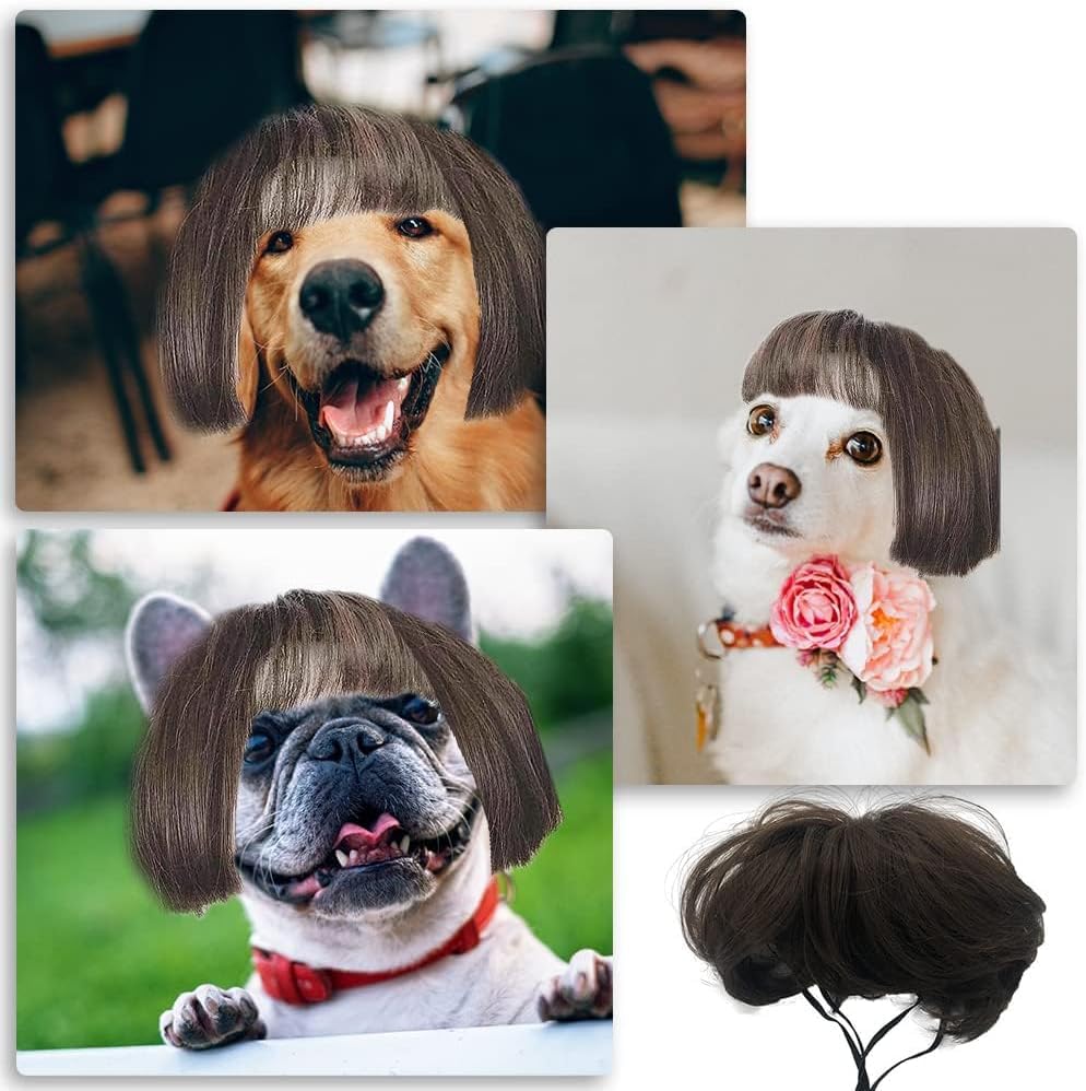 Funny Dog & Cat Cosplay Wigs - Small To Large Sizes, Perfect For Halloween, Christmas, Parties & Festivals