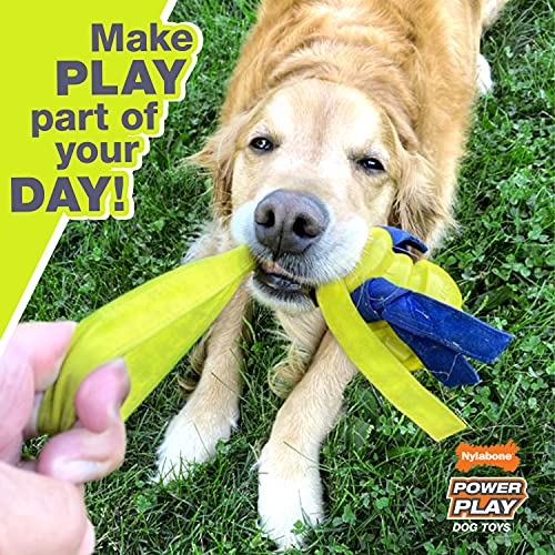Nylabone Power Play Dog Fetch Toys Fling-A-Bounce Medium (1 Count)