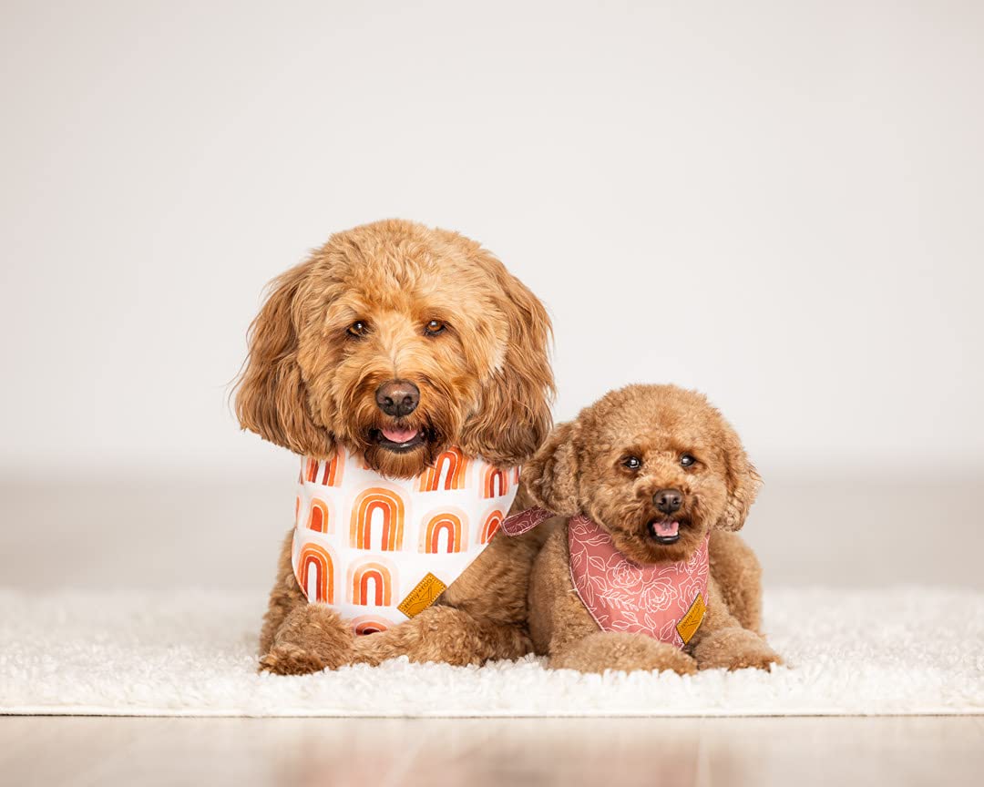 Remy+Roo Dog Bandanas - 4 Pack  Rubi Set  Premium Durable Fabric  Unique Shape  Adjustable Fit  Multiple Sizes Offered  (Large)