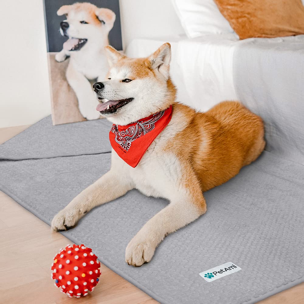 Petami Waterproof Dog Blanket, Leakproof Xl Pet Blanket For Large Dogs, Furniture Sofa Couch Cover Protector, Fleece Cat Throw Bed Crate Kennel, Reversible Washable Soft Plush, Twin 60X80 Light Gray