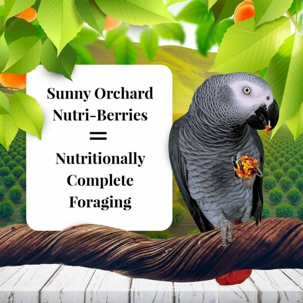 LAF 3LB PAR SUN ORCH NUTRI-BERRIES
