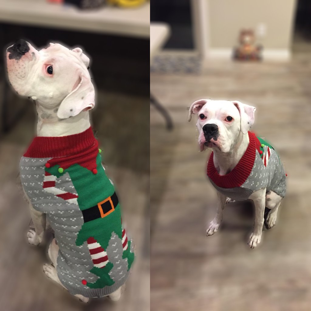 Bobibi Ugly Christmas Dog Sweaters Pet Dog Winter Knitwear Warm Clothes