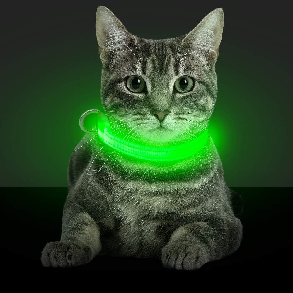 Bseen Light Up Dog Collars - Glowing Led Dog Collar Rechargeable Puppy Collar For Small Dogs & Cats, Safety Dog Lights For Night