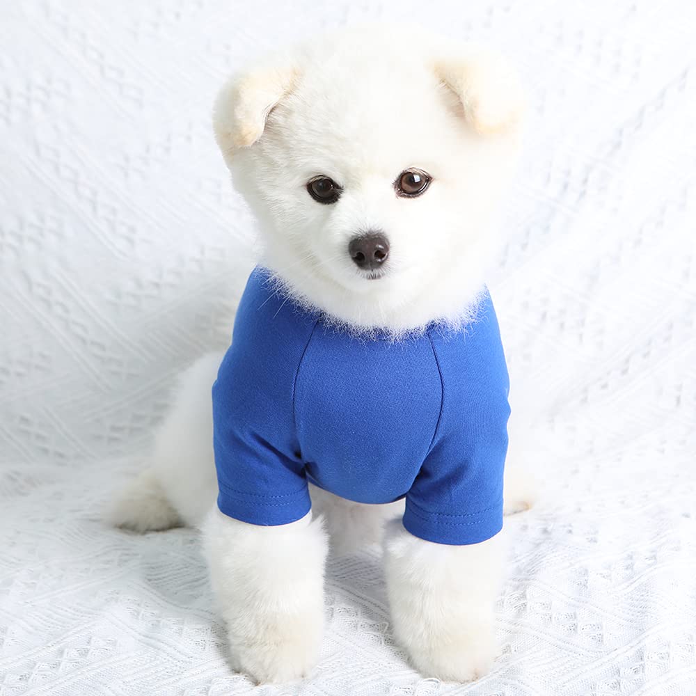 Lucky Petter Dog Shirt For Small Dogs Plain T-Shirts Soft Breathable Dog Cotton Shirt Pet Clothes (Small, Blue)