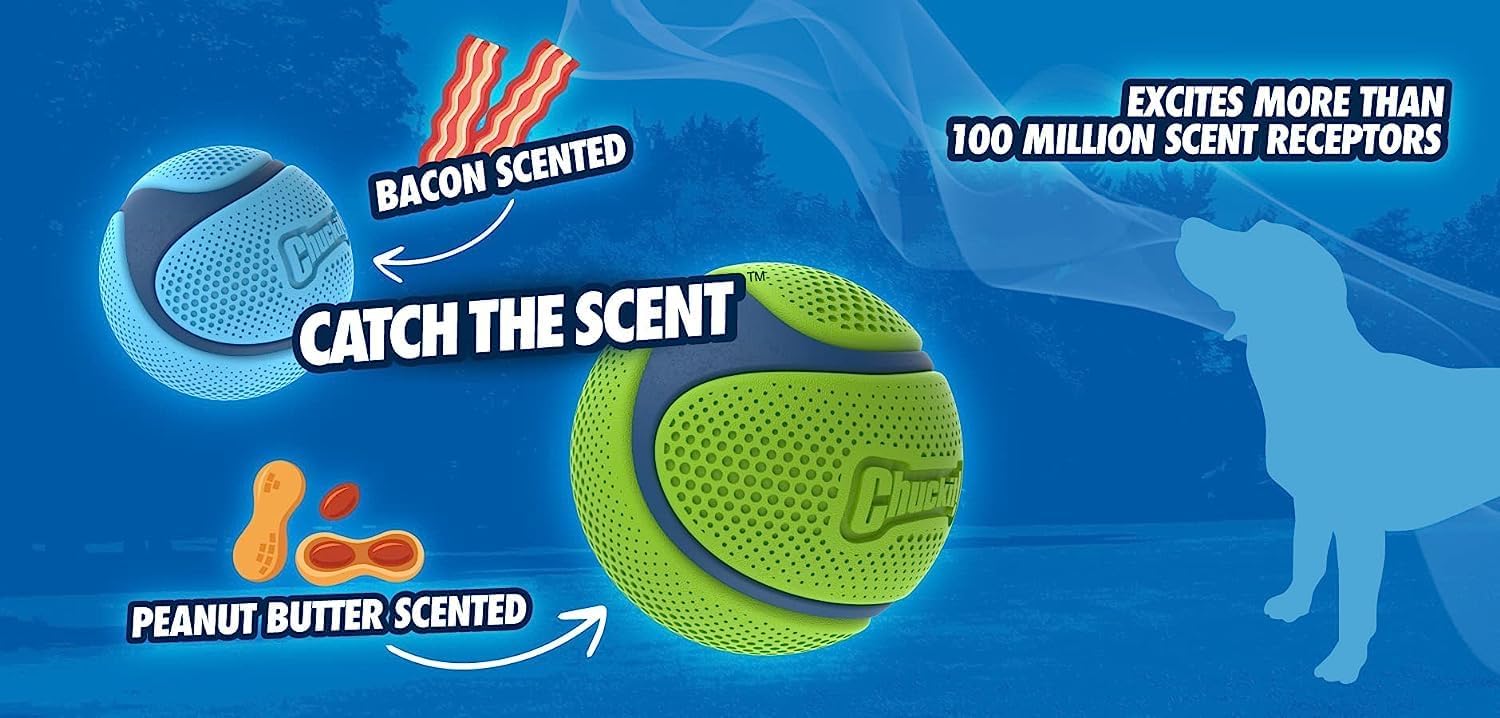 Chuckit! Sniff Ball Dog Toy, Durable High Bounce Peanut Butter Scented Rubber Dog Ball Fetch Toy, Medium, 1 Pack