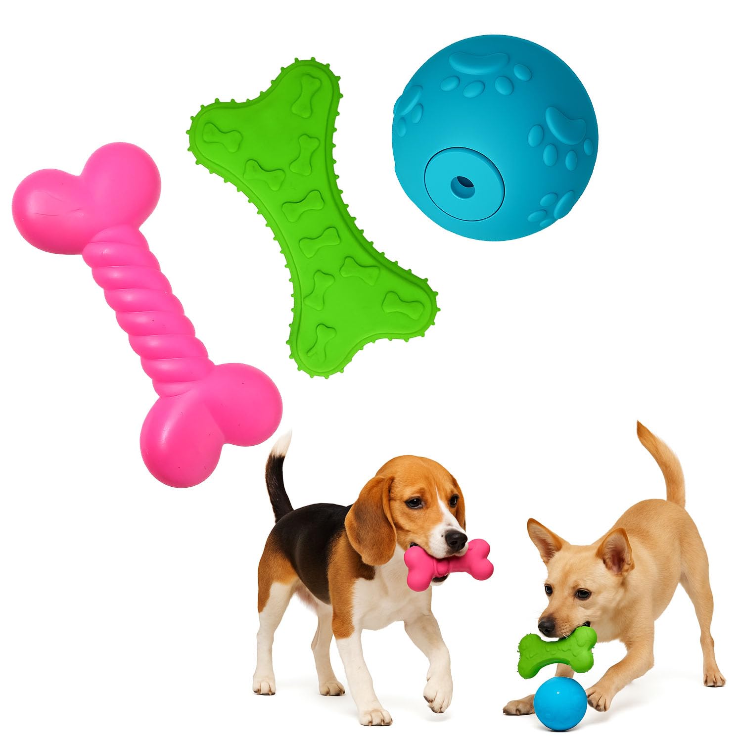 Jainsons Pet Products Durable Dog Chew Toys For Small & Medium Dogs  Safe Rubber Bone & Ball Set | Interactive Puppy Toys For T