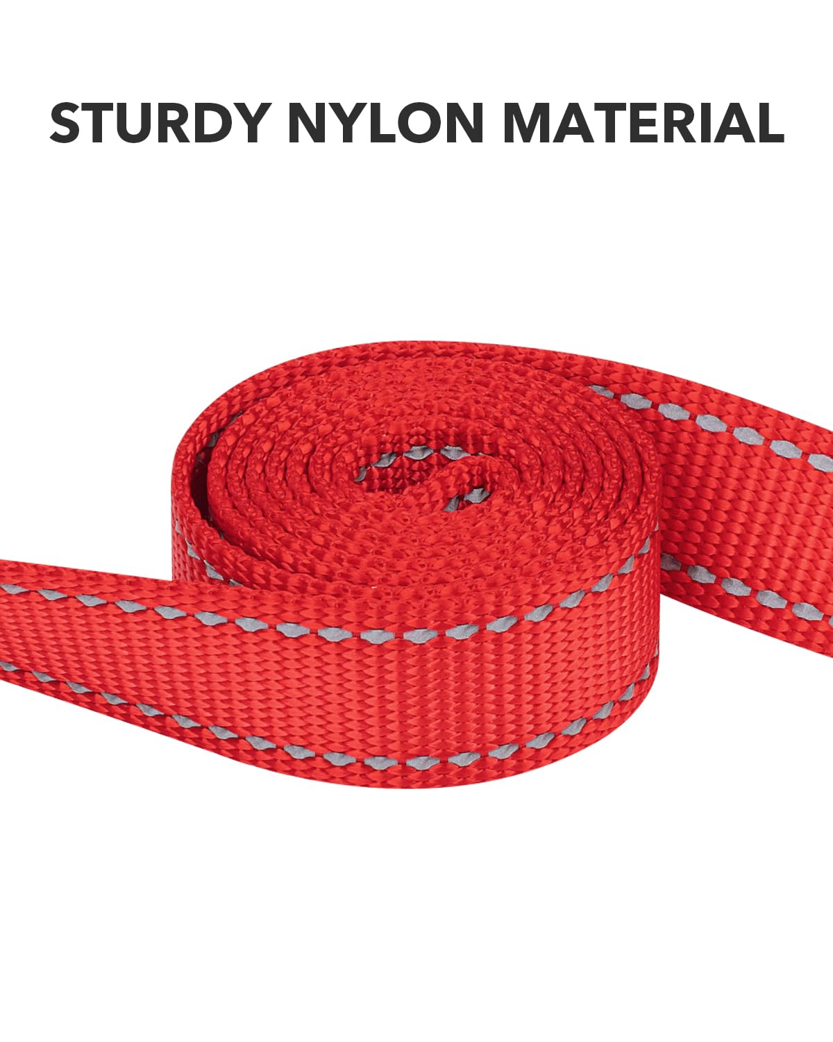Taglory Nylon Dog Leash 6Ft, Soft Padded Handle Pet Reflective Leashes For Medium Large Dogs Walking & Training, Red